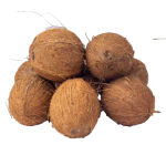 Coconut (10pcs)