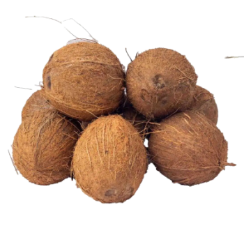 Coconut (10pcs)