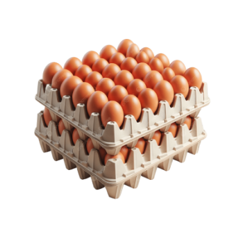 Chicken Eggs (1 Crate)