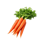 Fresh Vegetable Carrots (5kg)