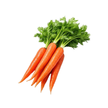 Fresh Vegetable Carrots (5kg)
