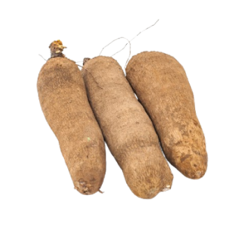Yam (5 Tubers)